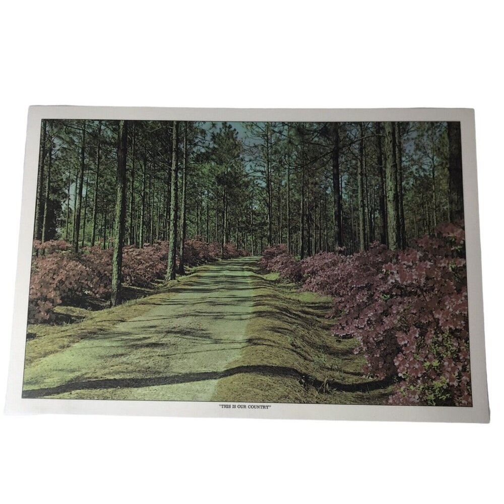 Set Of 6 Vintage “This Is Our Country” Placemats, Laminated & Washable - Picture 7 of 10